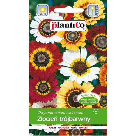 Złocień trójbarwny zestaw kolorów 1g