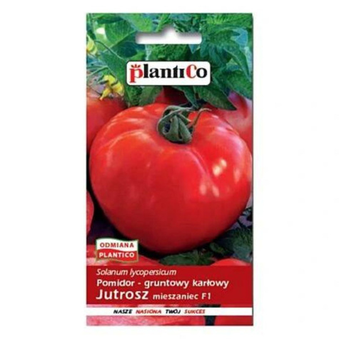 Pomidor gruntowy karłowy Jutrosz Mieszaniec F1 0,5g