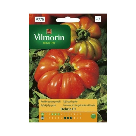 Pomidor gruntowy wysoki Delizia F1 0,1g