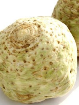 ZESTAW ALLEGRO Seler korzeniowy Talar wczesny 1 g