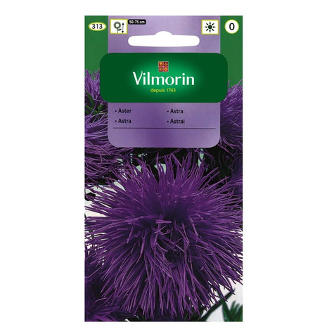 Aster chiński igiełkowy fioletowy 0,5g