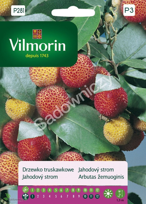 Chruścina jagodna Drzewko truskawkowe 0,1g