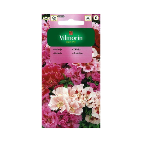 Godecja, Marszawa, Azalia mix Vilmorin 1g