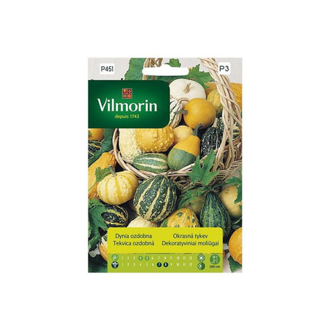Dynia ozdobna 2g