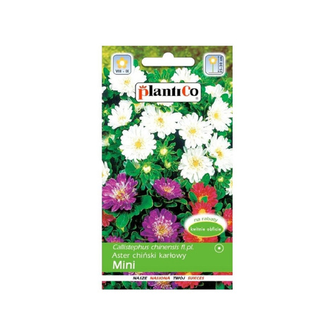 Aster chiński karłowy koszyczkowaty mix 1g Plantico