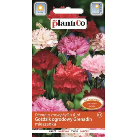 Goździk ogrodowy Grenadin mieszanka 1g