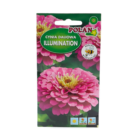 Cynia daliowa Ilumination amarantowo-różowa AMARANTOWO-RÓŻOWA 1g Polan
