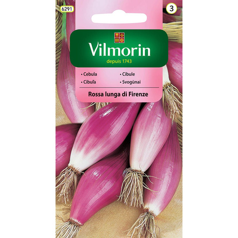 Cebula czerwona Rosa Lunga Di Firenze 2g