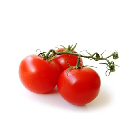 Pomidor gruntowy karłowy Lolek do dłuższego przechowywania 10g