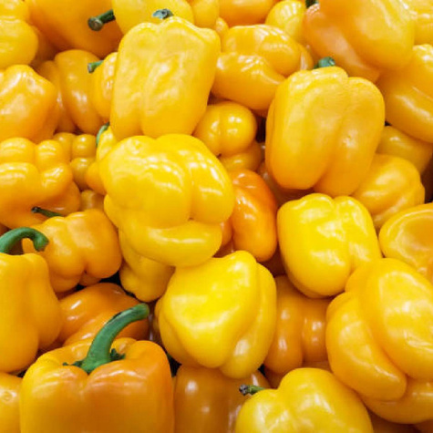 Papryka mieszanka odmian słodkich 0,5g WegAna