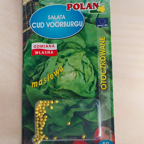 Nasiona otoczkowane Sałata masłowa Cud Voorburgu średnioóźna
