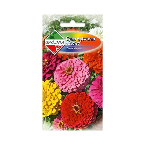 Cynia wytworna daliowa mix 1g Spójnia