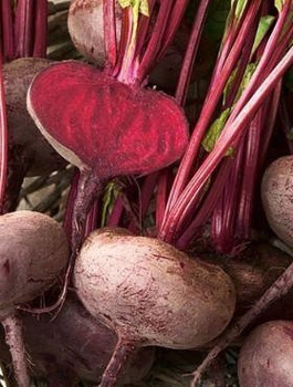 Burak ćwikłowy D`EGYPTE 50g