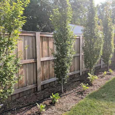 Grab kolumnowy Frans Fontaine