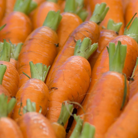Marchew jadalna Dolanka późna 500g