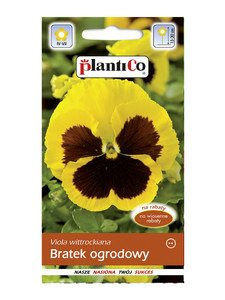 Bratek Fiołek ogrodowy żółty z czarną plamą 0,5 g