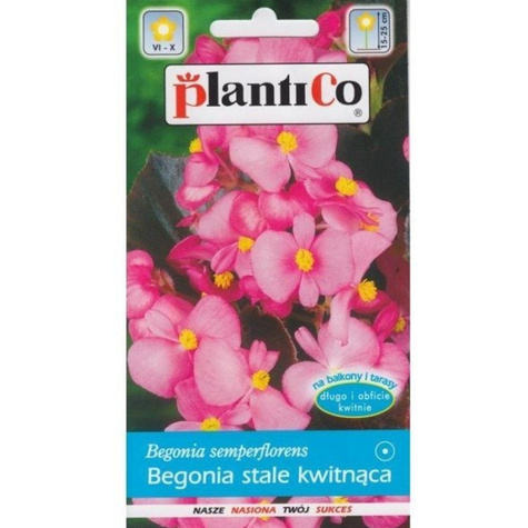 Begonia stale kwitnąca różowa czerwonolistna 0,1g Plantico