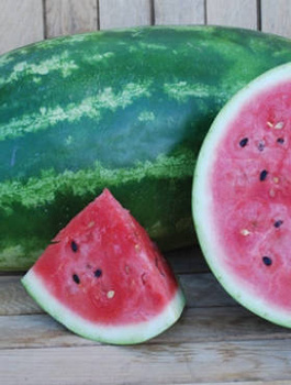 ZESTAW ALLEGRO Arbuz Kawon Rosario F1 1g