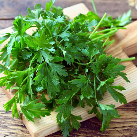 Pietruszka liściowa naciowa Fest 1g