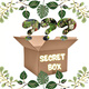 Secret Box – Gotowy Zestaw Roślin, który Odmieni Twój Ogród
