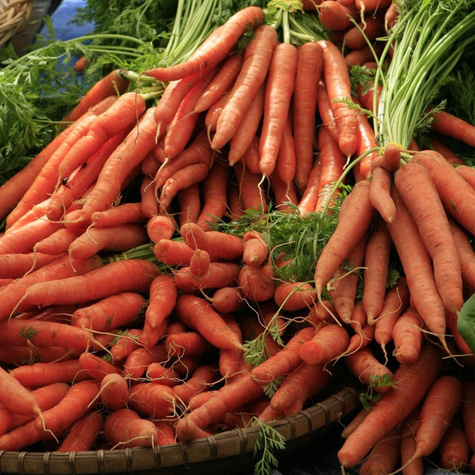 MARCHEW JADALNA GALICJA MIESZANIEC 3 G