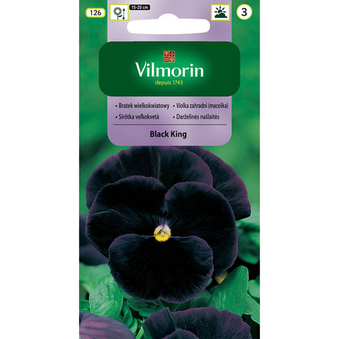 Bratek Fiołek ogrodowy szwajcarski Black King 0,3g