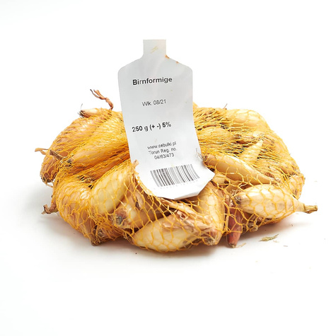 Cebula dymka Sopelek 0,25kg