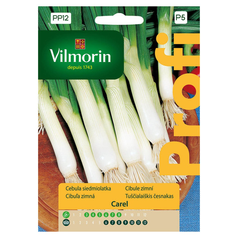 Cebula siedmiolatka Carel 1g
