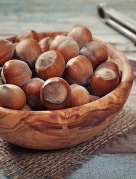 Orzech laskowy Barceloński Plant Pack