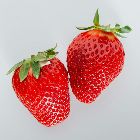 HURT Truskawki Hossa powtarzająca FRIGO 500szt