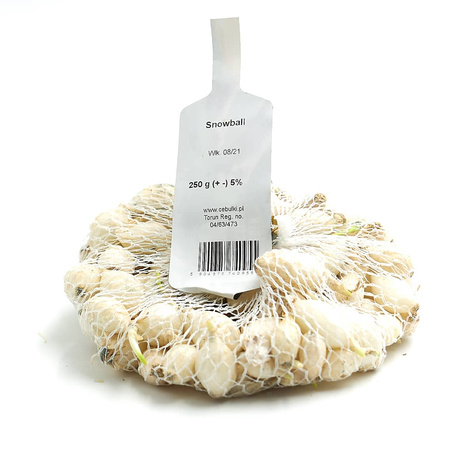 Cebula dymka biała 0,25kg