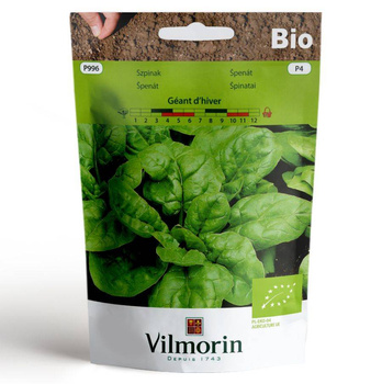 Szpinak Geant d`hiver BIO nasiona ekologiczne 10g zimowy