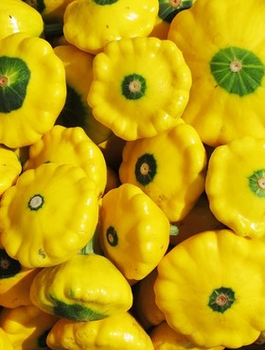 Dynia zwyczajna Patison żółta 2g