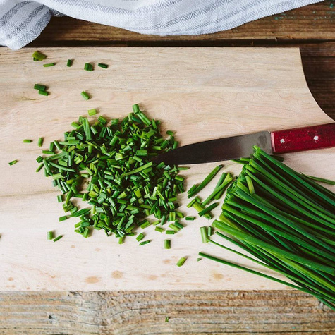 Szczypiorek ogrodowy wieloletni 1 g