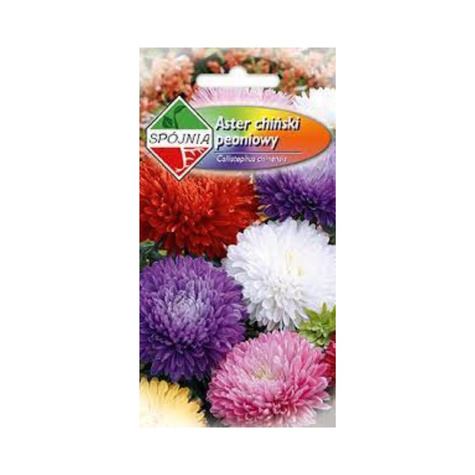 Aster chiński peoniowy wysoki mix 1g