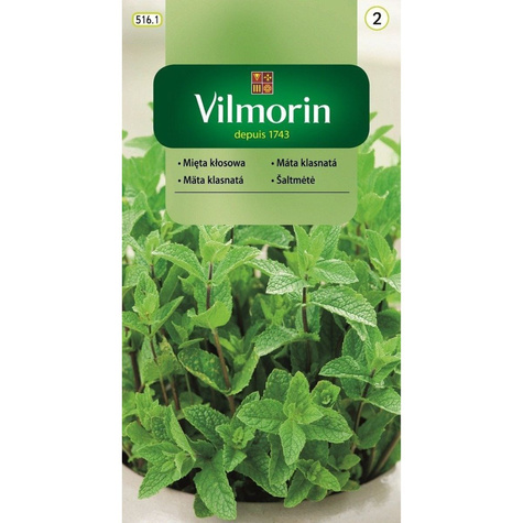 Mięta kłosowa 0,1g