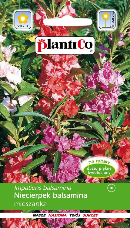 Niecierpek balsamina mieszanka 1g Plantico