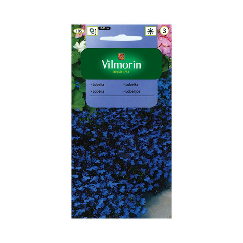 Lobelia przylądkowa Stroiczka Blue Carpet 0,5 g Vilmorin