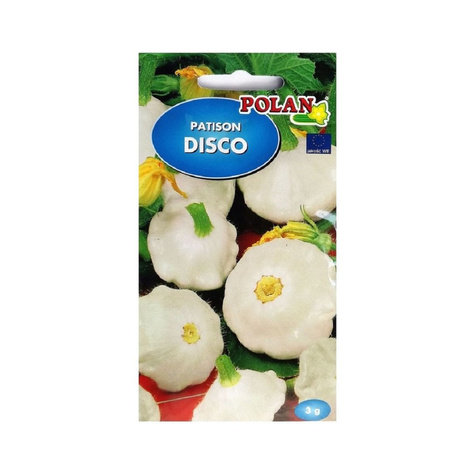 Dynia zwyczajna Patison DISCO 3g