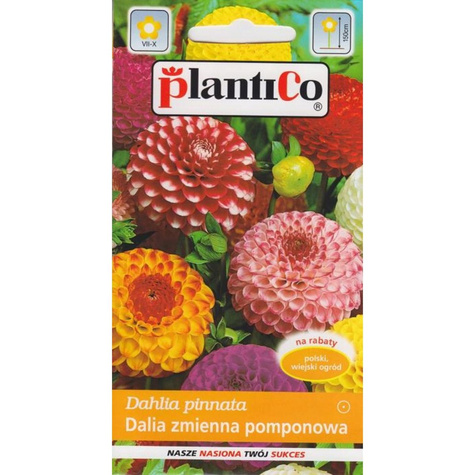 Dalia zmienna pomopnowa mieszanka 1g