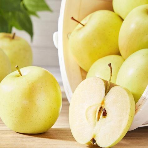 Zestaw startowy drzewek do sadu owocowego 4 szt Najlepsze Stare Odmiany