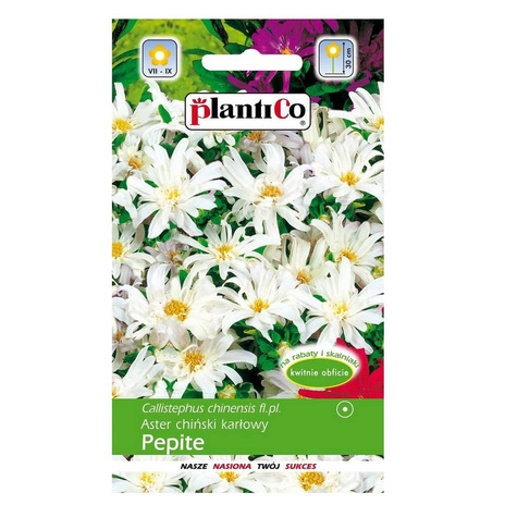 Aster chiński chryzantemowy karłowy biały Pepite 1g