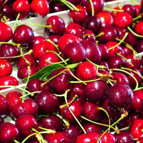 Czereśnia Fabiola w doniczce (C2)