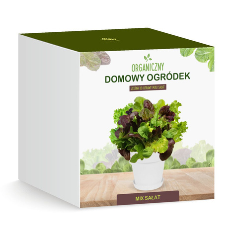 Zestaw do uprawy Mix Sałat Cięte listki Sałata na parapet