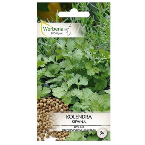 Kolendra siewna 3g