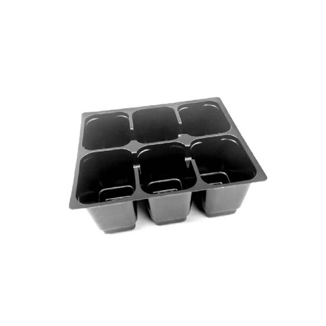 Wielodoniczka zespolona 6 szt.