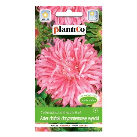 Aster chiński chryzantemowy wysoki różowy 1g