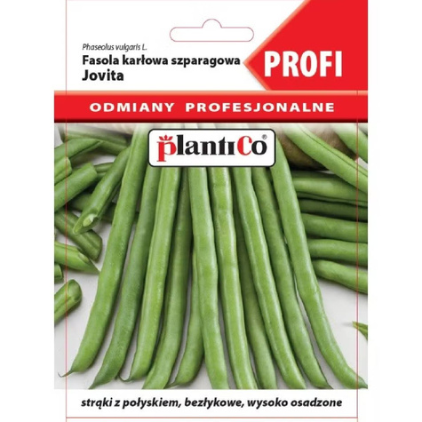Fasola zwykła karłowa Jovita 30g