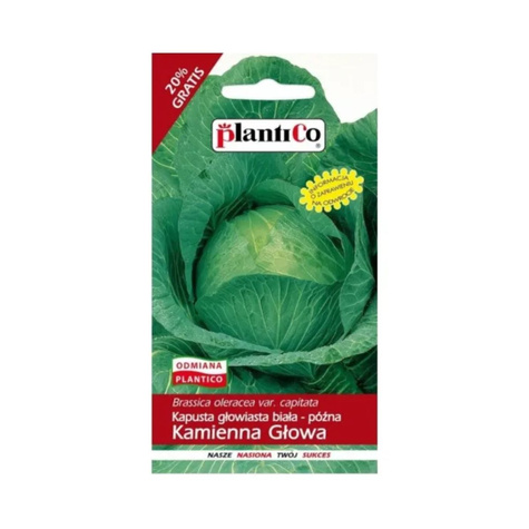 ZESTAW ALLEGRO Kapusta głowiasta biała Kamienna Głowa późna 2,4g