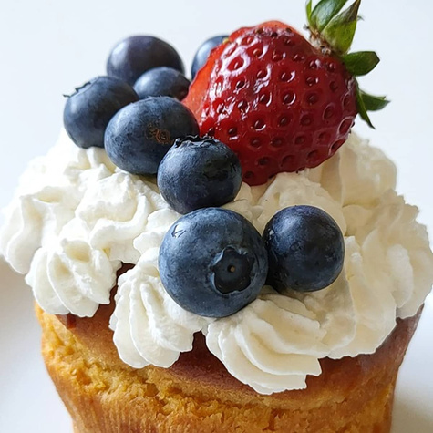 Borówka amerykańska Nortland średnio wczesna (C2)